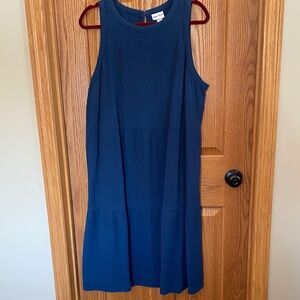 Ava & Viv blue dress